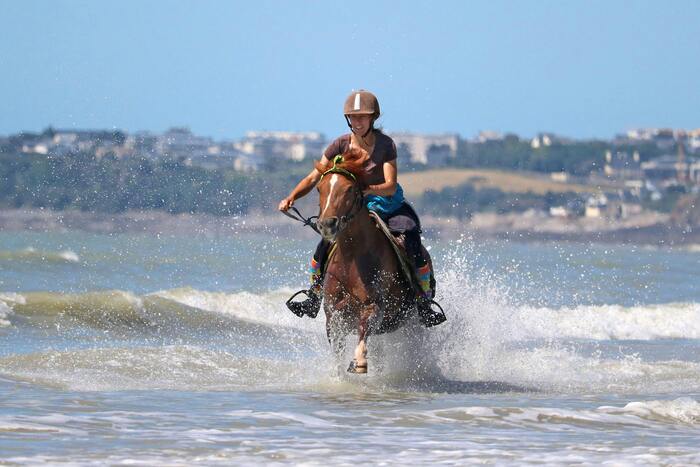 Équitation Orée Dorée